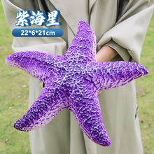 �������������ﺣ�����~�����������烺ͯ����J֪��������羳