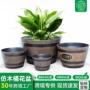 无孔水培特大号耐用花盆