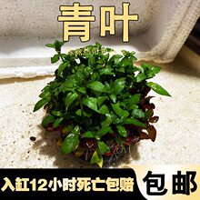 ��ˮ�~���b��w�����쾰��ˮ�������������������~��ˮ���~���