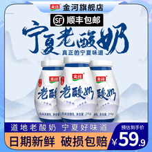 金河老酸奶整箱批发酵乳学生低温益生菌酸奶拌坚果早餐代餐215g