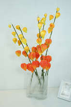 �Wʽ���������֦��ɫ���\�����m��{���҃ȼҾ��b�ˇ��c�쾰