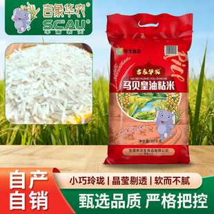 �F؛10kg������͸���������ʳС���ᭇ�����A�r�Rؐ����ճ�����l