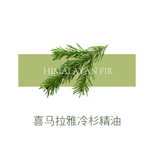 喜马拉雅冷杉精油 尼泊尔产地冷杉油香水调香香薰植物精油原料