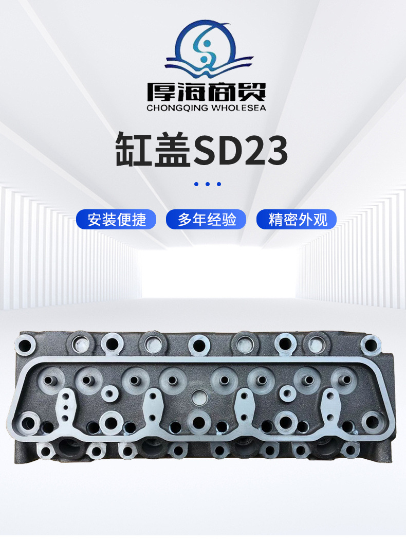 Supply SD22 SD23 Cylinder Head 11041-29W01/09W00 for NISS AN SD22