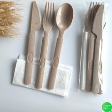 小麦秸秆一次性餐具可降解筷子勺套装外卖披萨意面水果沙拉厂家代