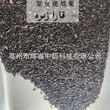批发大货冷背中药材驱虫斑鸠菊