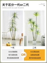 2P80�p�ݾGֲǧ��ľ�͏d�b�����ֲ������ٻ���Ѫ���҃����