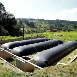 袋状塑制品;其他塑胶容器;滚塑容器