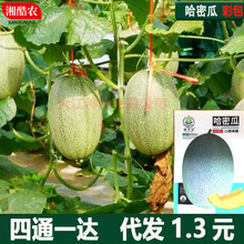 �½��W�y���ܹϷN���ļ���ˮ�����۹�����������̨�߲˷N����Ʒ