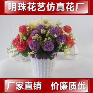 7�^��ɫ���� ���~������滨 �bG��ֲ��ٽ�ˮ�ݻ�