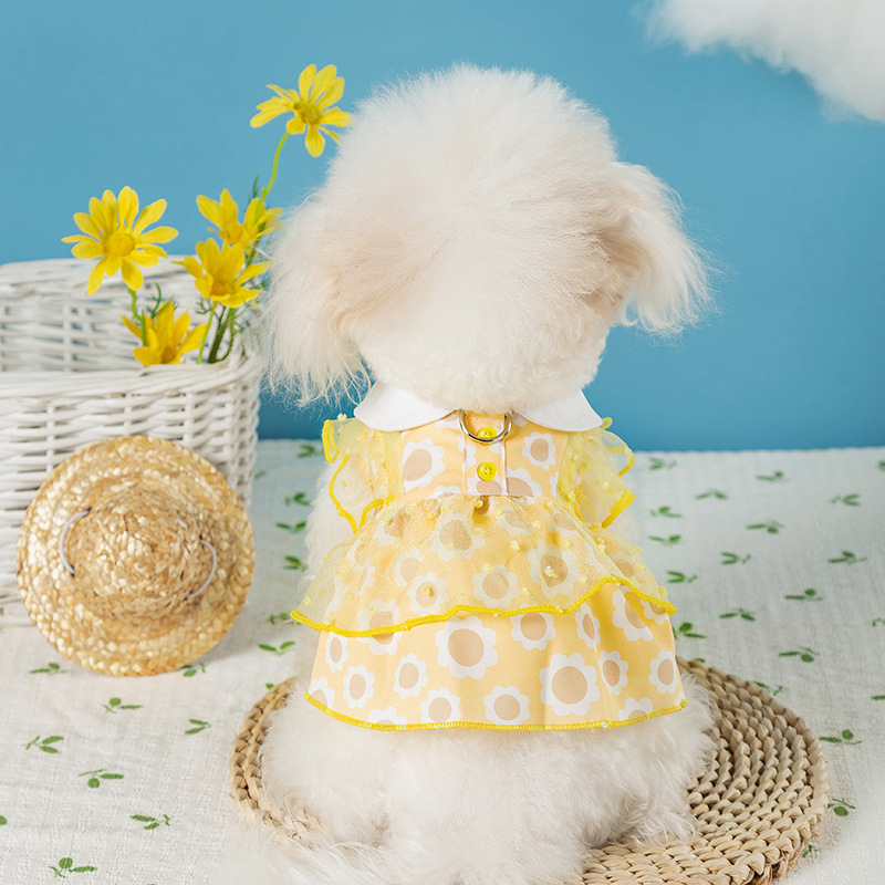 Perro primavera y verano princesa dama encaje vestido de punto ondulado vestido de gato vestido delgado mascota ropa de perro