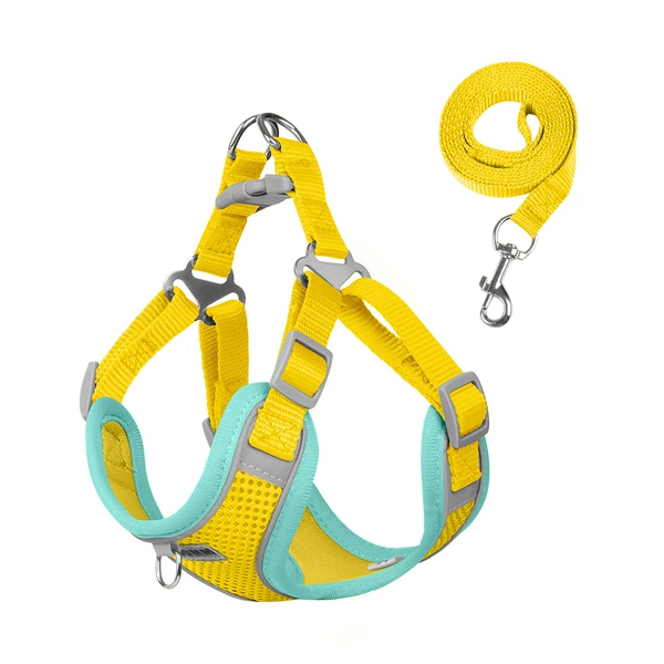Upgraded yellow and green