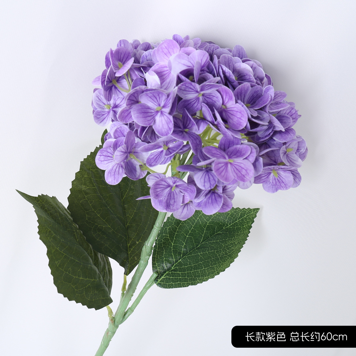 긴 수국 보라색