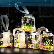 网红罐罐发光鱼瓶透明塑料金鱼缸 水母瓶 泡泡鱼全套材料户外摆摊