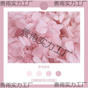 �黨��������l�b��仨�����Y�н�����ִ��N���o�˶Y�ɻ�����