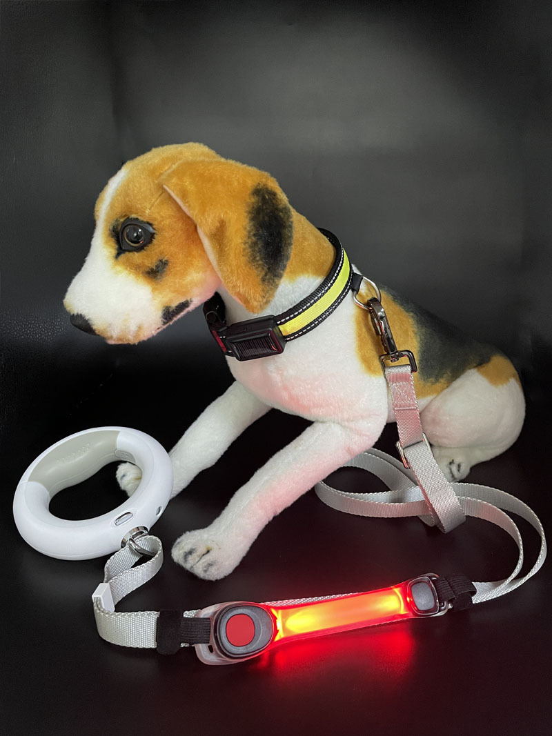 宠物臂带灯21.jpg