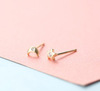 Earrings, golden small goods, silver needle, simple and elegant design, internet celebrity