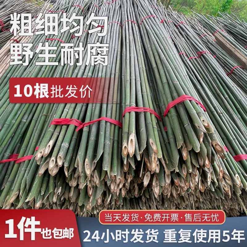 Небольшой бамбуковый столб для овощей