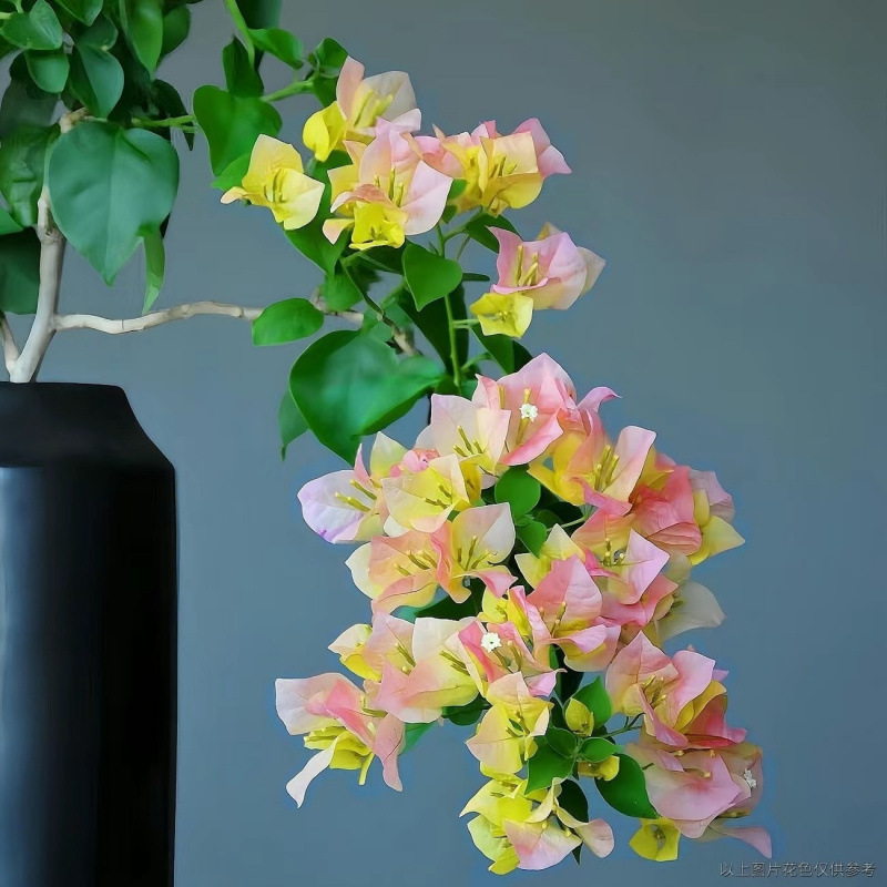 신제품 추천(제이드)