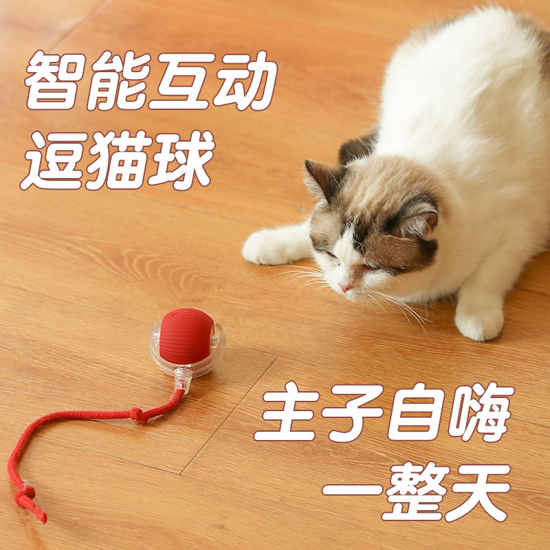 国境を越えた噛みつきにくい自動猫おもちゃボール、猫のおもちゃボール、退屈を和らげるロープ付きペット用品ジャンプボール|undefined