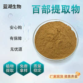 百部提取物多规格 Radix Stemonae Extract百部粉百部提取液