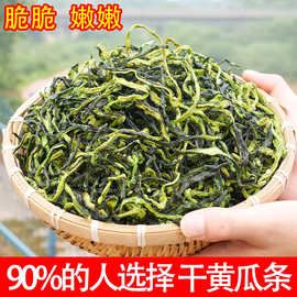 黄瓜条农家自制干黄瓜条湖南特产嫩黄瓜皮钱片脱水蔬菜黄瓜丝干菜