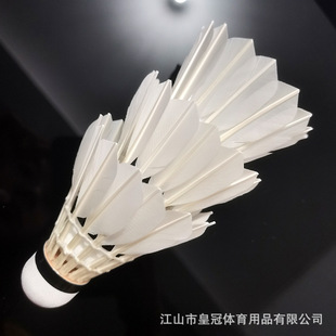 �S�����l�\������ֱ��ɫ��ë��Ӗ�������ʹ򷀶�12ֻ�b