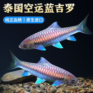 �{���_�^�p�~����~�Ꭷ��ˮ�ͻ���B�ԁ�ˮԭ�����ͮ��ڼ��_�~