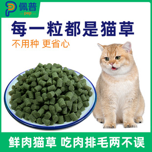 Pep cat grass grains cat snacks grinding teeth cleaning hair removal ball pet cat nutrition fattening instant hair row has been planted