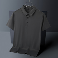 ]|zz¿84\]16]POLOжT