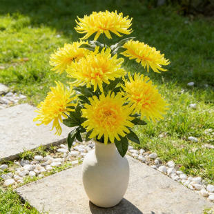 �������滨�S�����l�ߙn�������ٻ���ʽ��@�L���^��z�ս�������