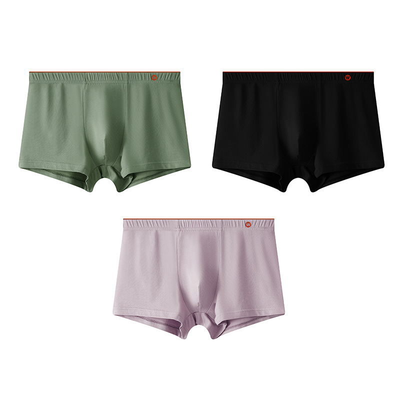 세 팩 (콩 그린 블랙 다크 파우더)