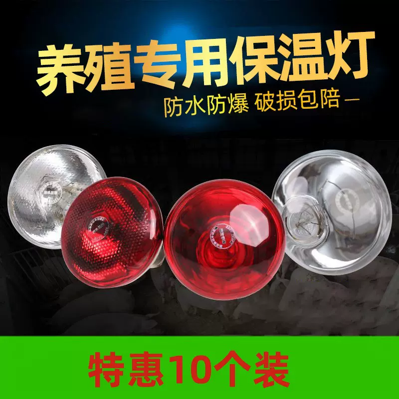 加厚保温灯养殖灯泡加厚防水防爆红外线养殖取暖灯仔猪保温灯