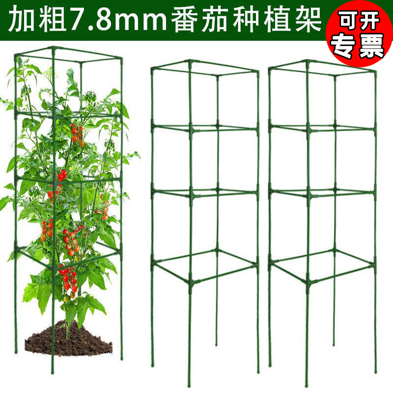 花园番茄笼方形番茄植物玻纤支撑杆植物塔桩黄瓜格子架