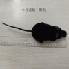 Black trumpet 23cm-two-pass bag installation