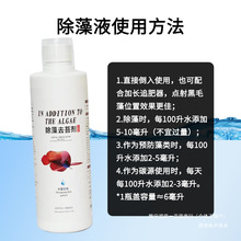 ë~غȥȥG儩̦̦zˮ~׳