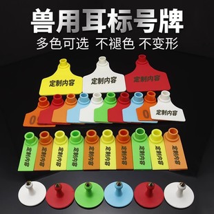 ĸ�i����̖�����ö��˄���F�ö��S�aӛ̖�������ö����Q�Bֳ����