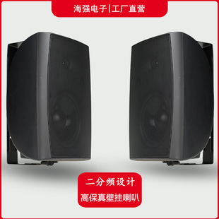 Source Factory Dual-Purpose Wall-Mounted Speaker for Conferences, Public Broadcasting, and Commercial Use with Fixed Voltage and Fixed Resistance