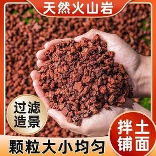 Volcanic Stone Granular Fleshy Orchid Special Granular Soil Plant Material Paving Stone Fish Tank Bottom Sand Filter Material Red Volcanic Rock