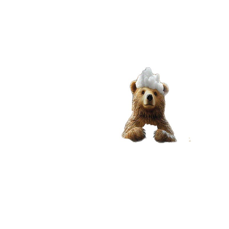 SHEIN comercio electrónico transfronterizo cortina de ducha de poliéster diseño de bañera de garra de oso oso esponjoso oso pardo Estados Unidos Europa América image 6