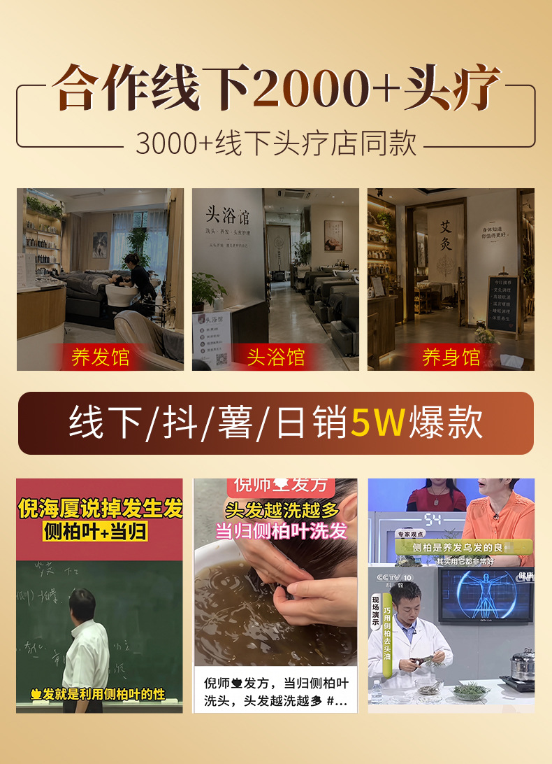 Tea Seed Herbal Hair Wash Pack Cha Fu Powder Sachets with Soapberry He Shou Wu for Postpartum Hair Care 40g x 10 Packs specifications
