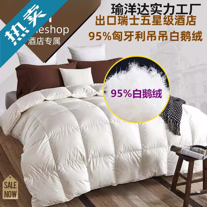 Export Five-Star Hotel down Quilt 95 White Goose down Quilt Winter Quilt Core Thickeneded Warm Spring & Fall Quilt Double