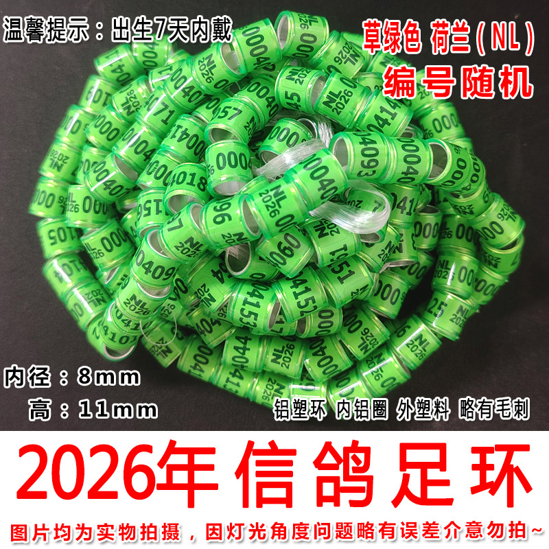 2026年草绿色荷兰2