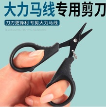 �¿�P����~����PE�����ü�����̼����ឹ���·���Q��~����