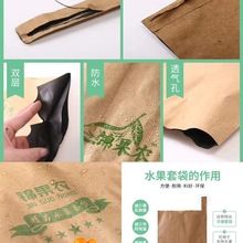 水果套袋梨袋苹果袋芒果袋子桃子防虫袋葡萄防水防水育果袋
