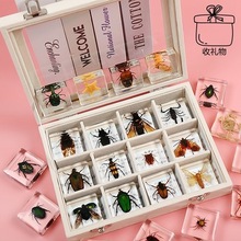 ���l���xС�������x�˱���֬�����������˱�ϐ��֩��Λρ�з