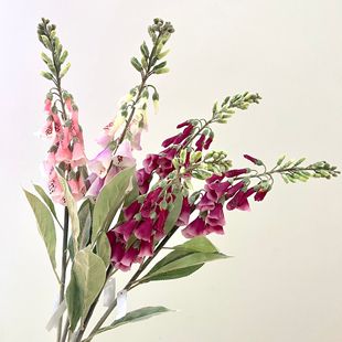 ���滨 ����S ���R�� �����̨ͥԺ�b��� ��c�zӰ�쾰ë���S