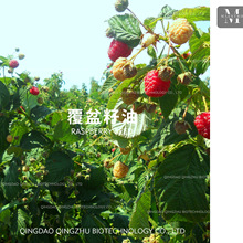 Raspberry Seed 䉺եAMԭlֱ
