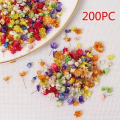 200pc realdried Flowers For DIY Art Craft Epoxy Resin Candl
