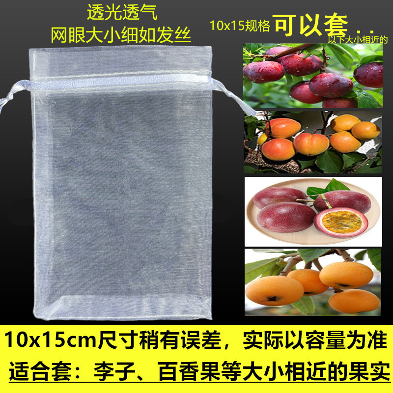 水果防鸟防虫网袋瓜果保护袋子无花果枇杷葡萄网袋桃子草莓保护套|undefined
